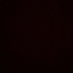 Meet your Posher, Ben